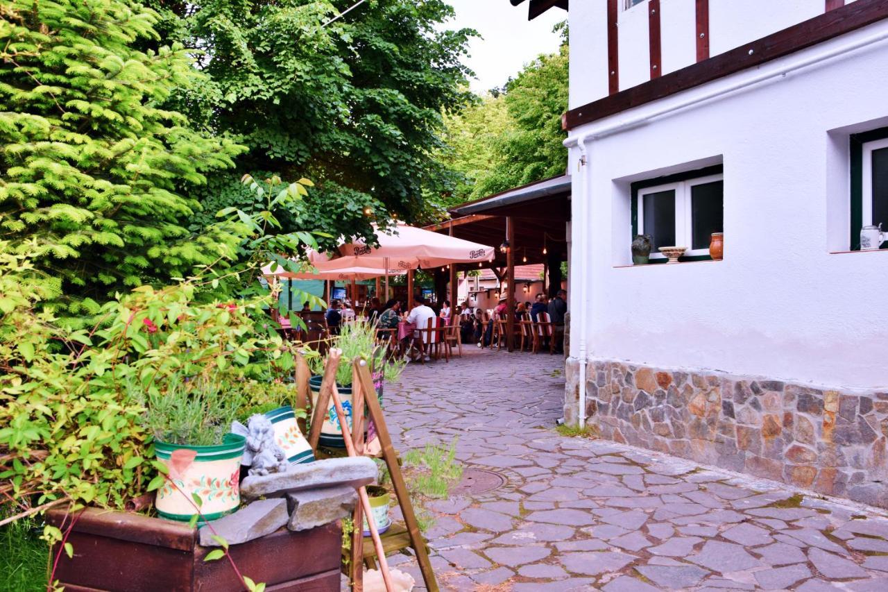Pensiunea 7 Tei Cisnadioara Exteriör bild